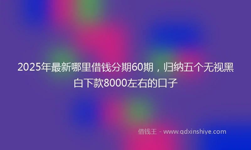 2025年最新哪里借钱分期60期，归纳五个无视黑白下款8000左右的口子