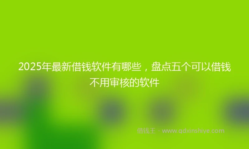 2025年最新借钱软件有哪些，盘点五个可以借钱不用审核的软件