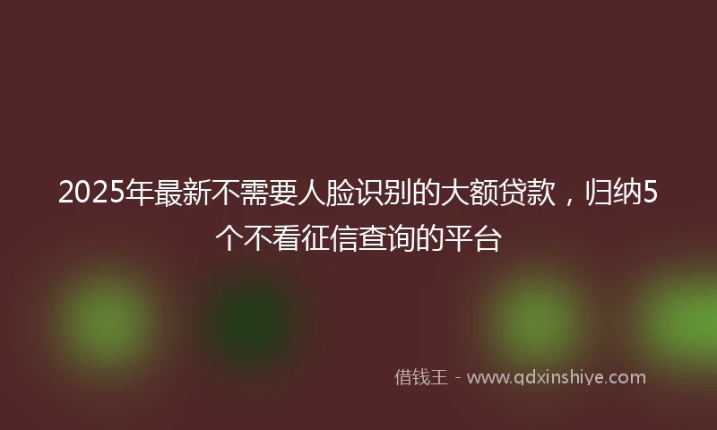2025年最新不需要人脸识别的大额贷款，归纳5个不看征信查询的平台