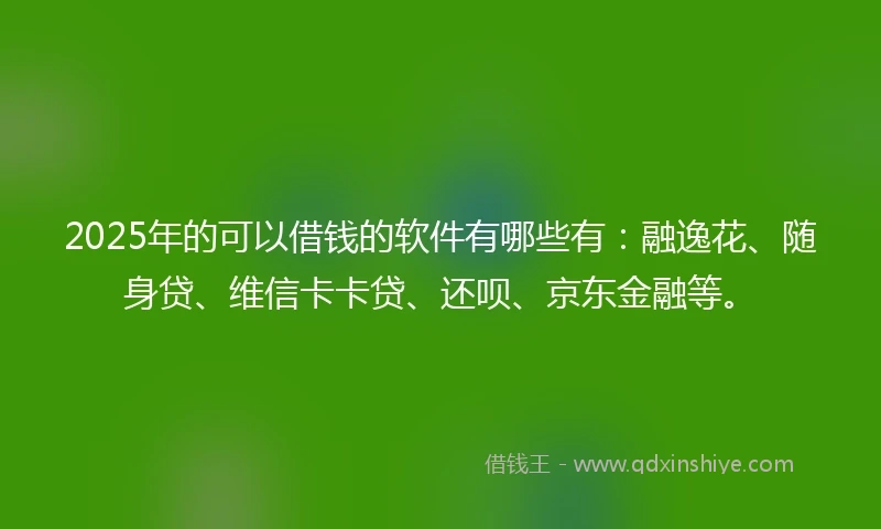 2025年的可以借钱的软件有哪些有：融逸花、随身贷、维信卡卡贷、还呗、京东金融等。