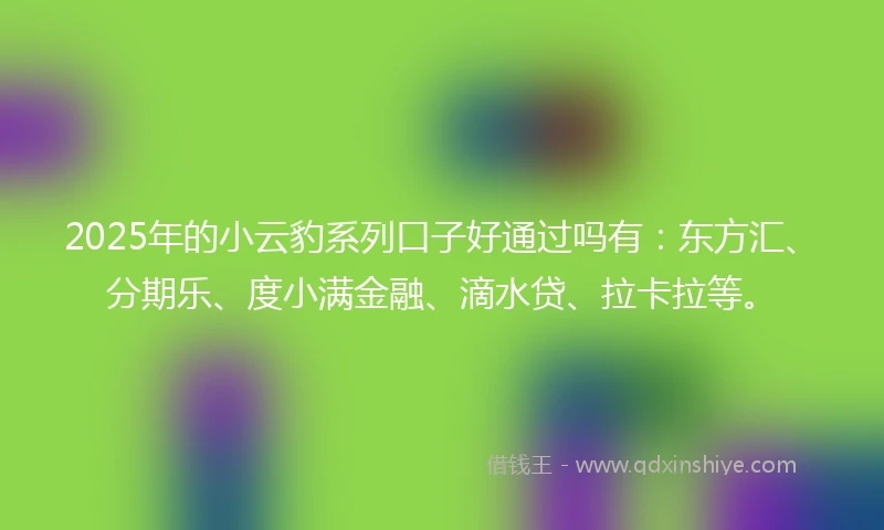 2025年的小云豹系列口子好通过吗有：东方汇、分期乐、度小满金融、滴水贷、拉卡拉等。