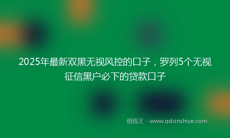 2025年最新双黑无视风控的口子，罗列5个无视征信黑户必下的贷款口子
