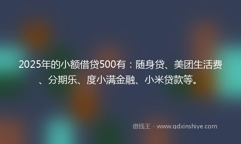 2025年的小额借贷500有：随身贷、美团生活费、分期乐、度小满金融、小米贷款等。