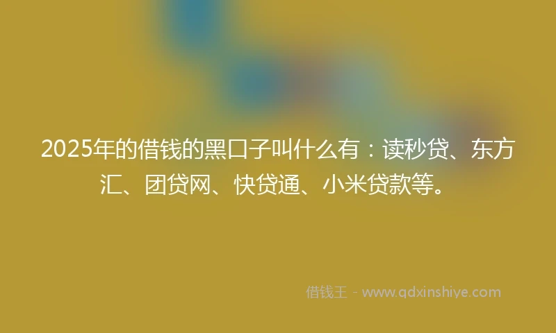 2025年的借钱的黑口子叫什么有：读秒贷、东方汇、团贷网、快贷通、小米贷款等。