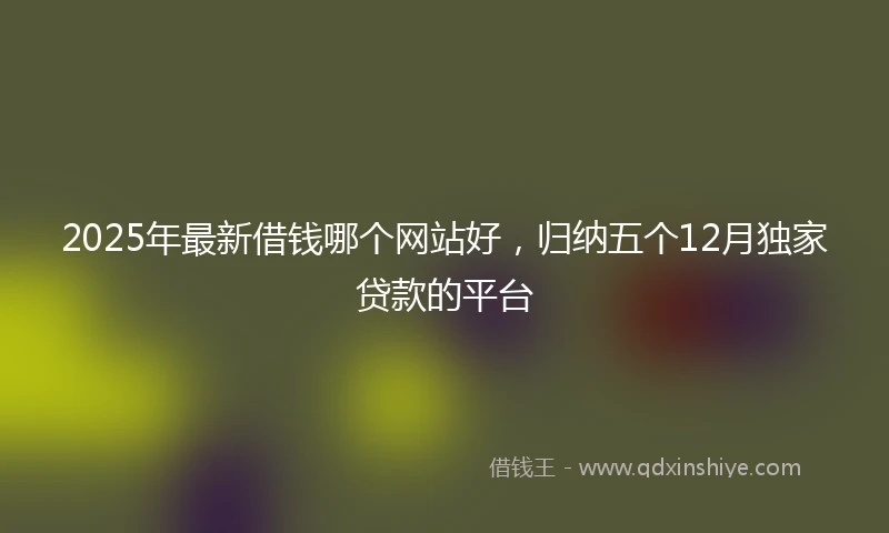 2025年最新借钱哪个网站好，归纳五个12月独家贷款的平台