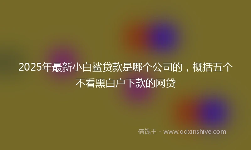 2025年最新小白鲨贷款是哪个公司的，概括五个不看黑白户下款的网贷