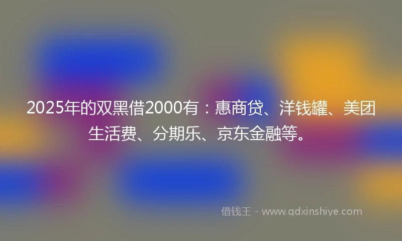2025年的双黑借2000有：惠商贷、洋钱罐、美团生活费、分期乐、京东金融等。