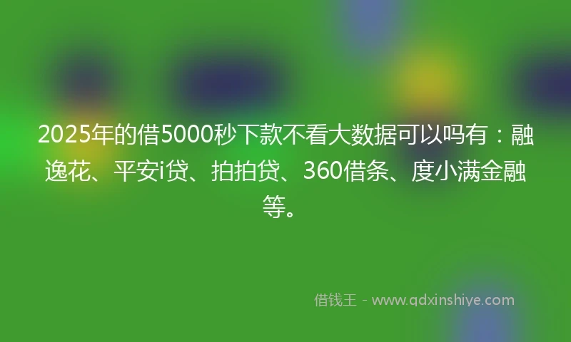2025年的借5000秒下款不看大数据可以吗有：融逸花、平安i贷、拍拍贷、360借条、度小满金融等。