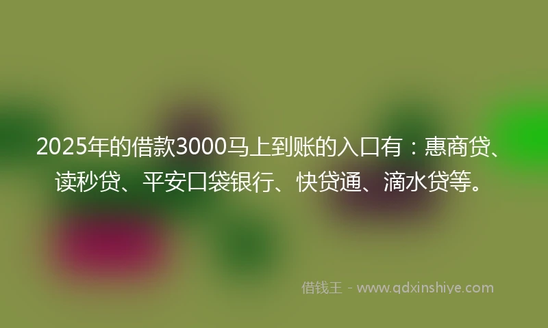 2025年的借款3000马上到账的入口有：惠商贷、读秒贷、平安口袋银行、快贷通、滴水贷等。