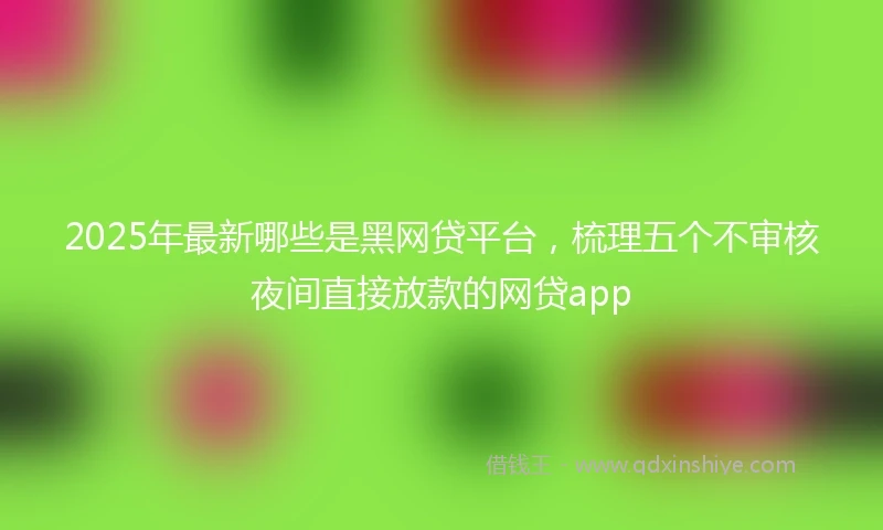 2025年最新哪些是黑网贷平台，梳理五个不审核夜间直接放款的网贷app