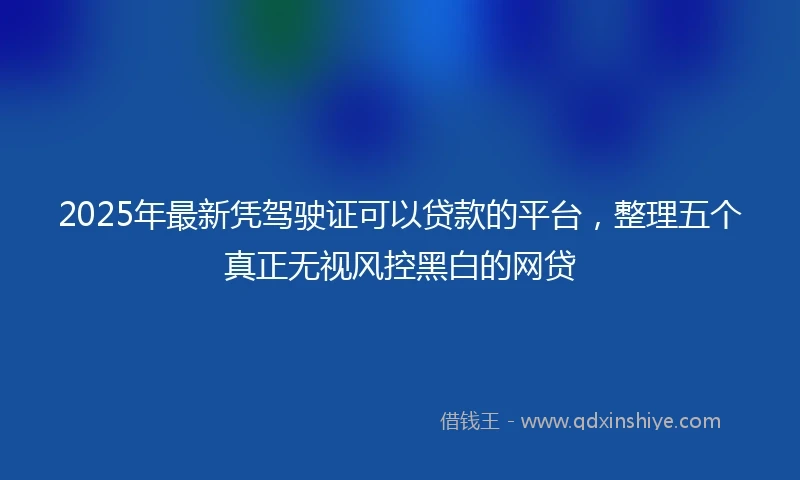 2025年最新凭驾驶证可以贷款的平台，整理五个真正无视风控黑白的网贷