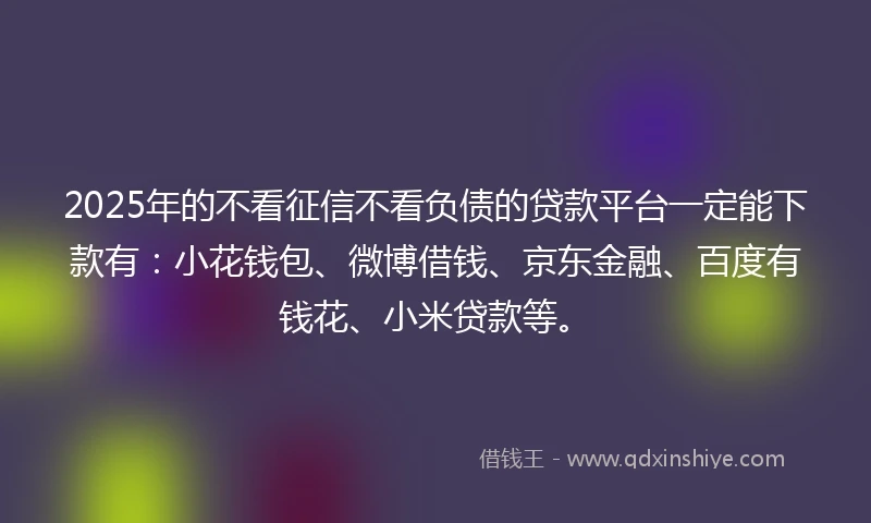 2025年的不看征信不看负债的贷款平台一定能下款有：小花钱包、微博借钱、京东金融、百度有钱花、小米贷款等。