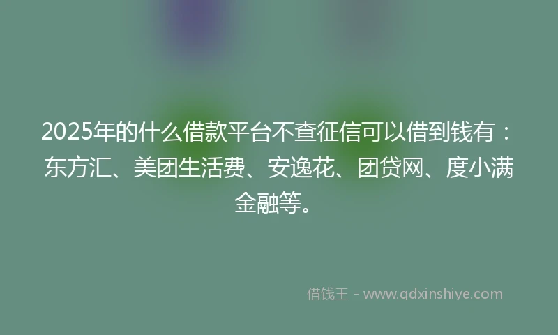 2025年的什么借款平台不查征信可以借到钱有：东方汇、美团生活费、安逸花、团贷网、度小满金融等。
