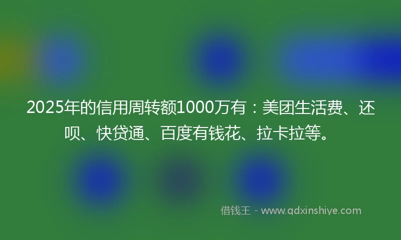 2025年的信用周转额1000万有：美团生活费、还呗、快贷通、百度有钱花、拉卡拉等。