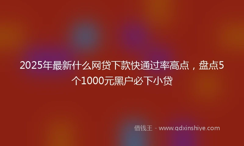 2025年最新什么网贷下款快通过率高点，盘点5个1000元黑户必下小贷