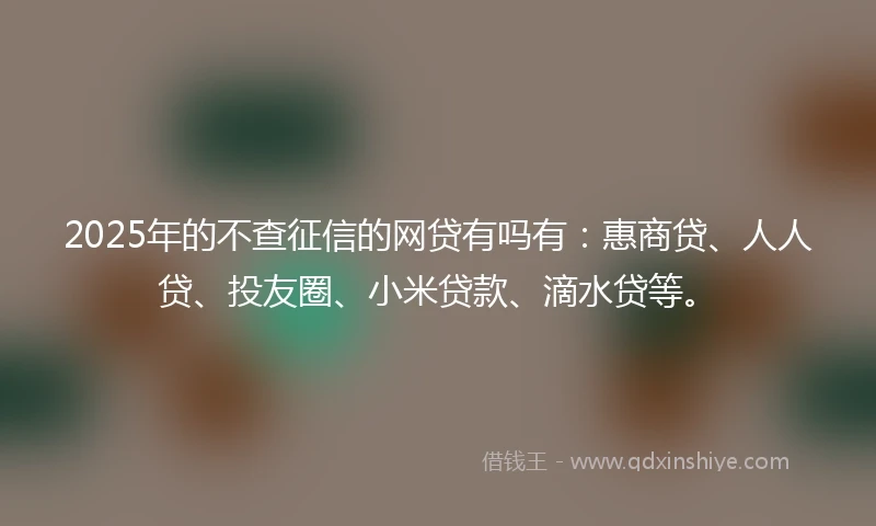 2025年的不查征信的网贷有吗有：惠商贷、人人贷、投友圈、小米贷款、滴水贷等。