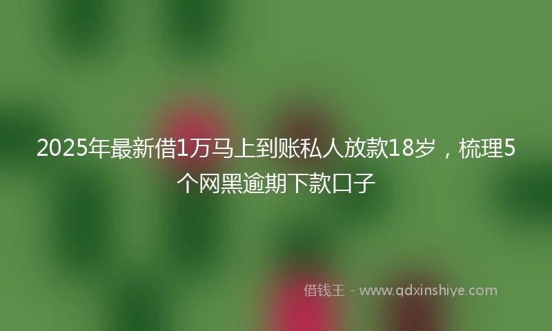 2025年最新借1万马上到账私人放款18岁，梳理5个网黑逾期下款口子