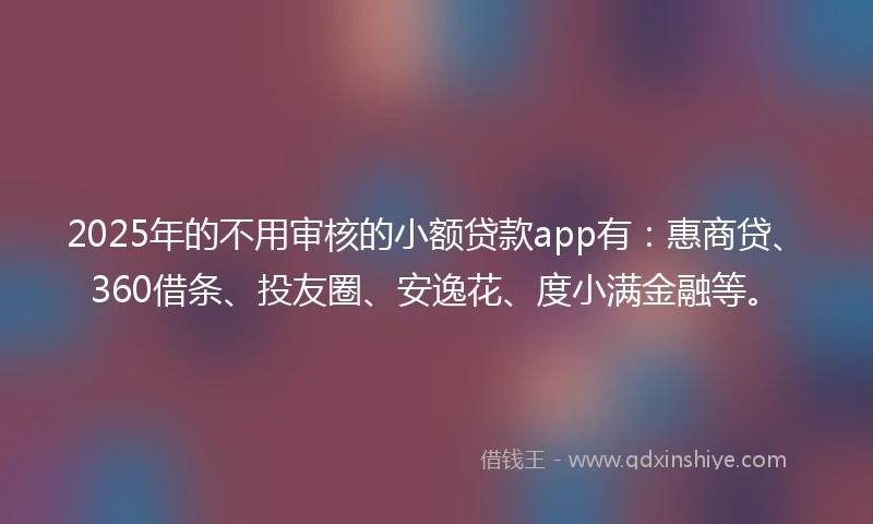 2025年的不用审核的小额贷款app有：惠商贷、360借条、投友圈、安逸花、度小满金融等。