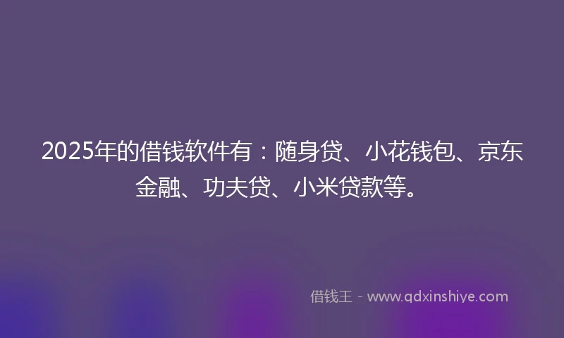 2025年的借钱软件有：随身贷、小花钱包、京东金融、功夫贷、小米贷款等。