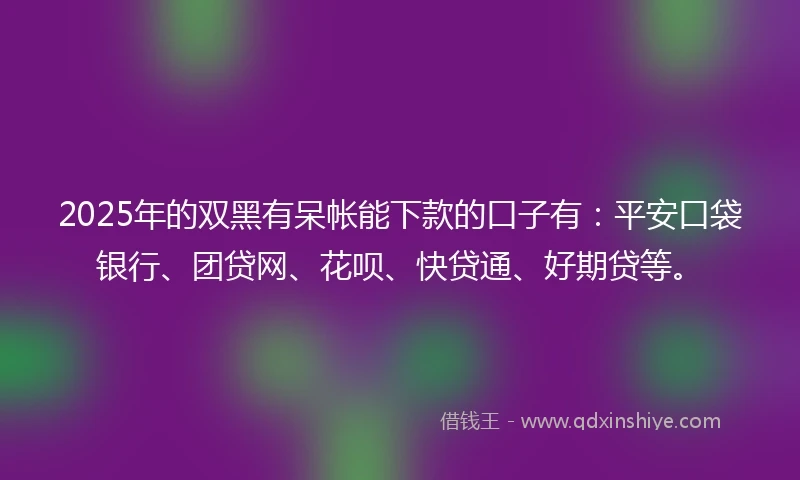 2025年的双黑有呆帐能下款的口子有：平安口袋银行、团贷网、花呗、快贷通、好期贷等。