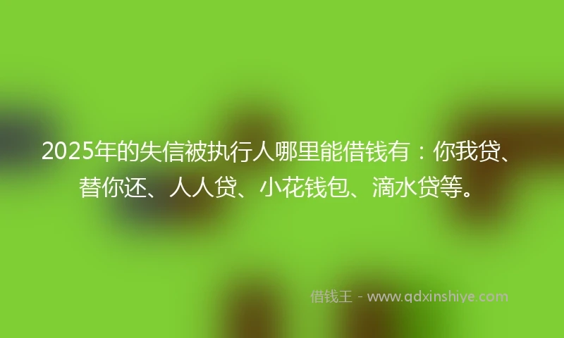 2025年的失信被执行人哪里能借钱有：你我贷、替你还、人人贷、小花钱包、滴水贷等。