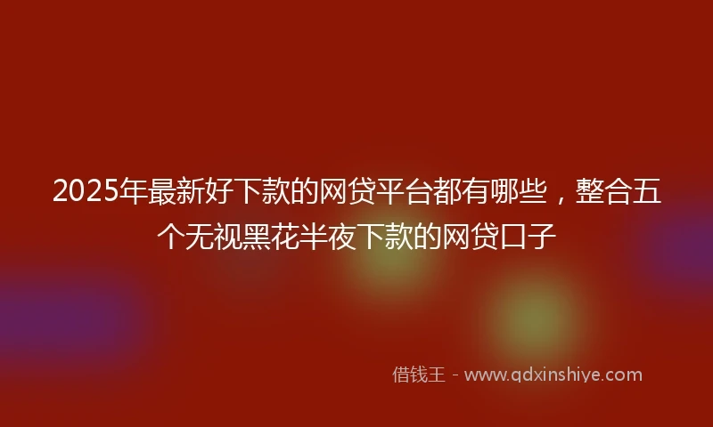 2025年最新好下款的网贷平台都有哪些，整合五个无视黑花半夜下款的网贷口子