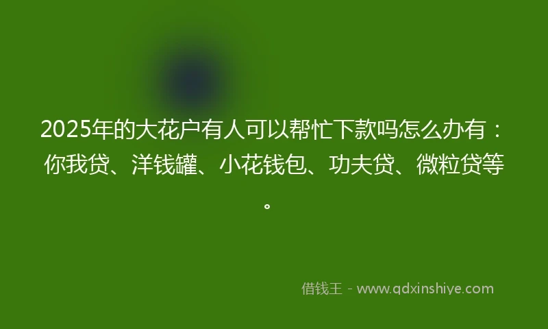 2025年的大花户有人可以帮忙下款吗怎么办有:你我贷、洋钱罐、小花钱包、功夫贷、微粒贷等。