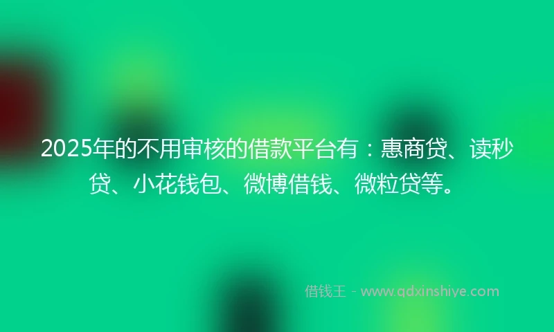 2025年的不用审核的借款平台有：惠商贷、读秒贷、小花钱包、微博借钱、微粒贷等。
