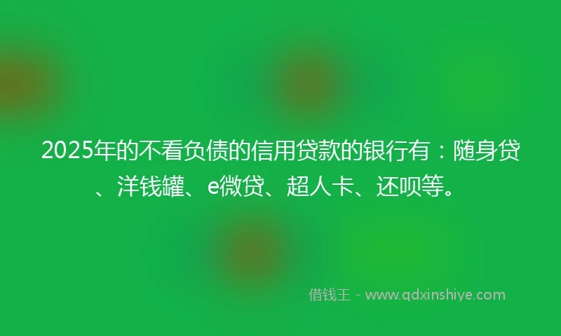 2025年的不看负债的信用贷款的银行有：随身贷、洋钱罐、e微贷、超人卡、还呗等。