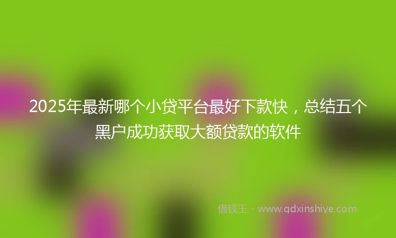 2025年最新哪个小贷平台最好下款快，总结五个黑户成功获取大额贷款的软件
