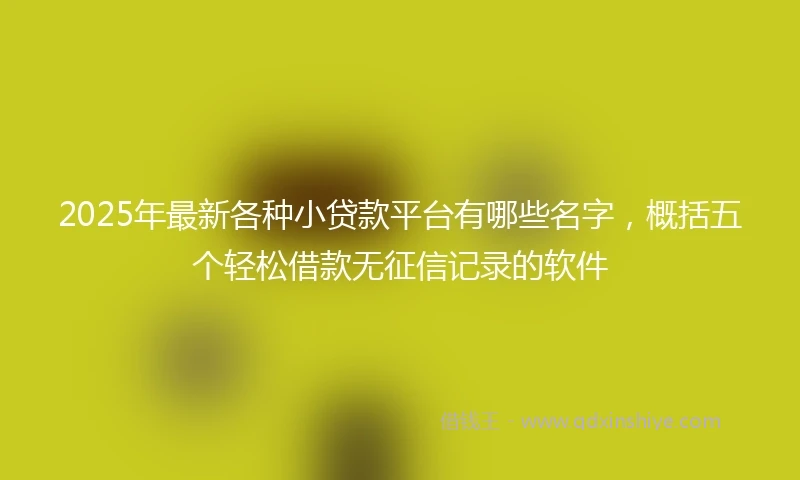 2025年最新各种小贷款平台有哪些名字，概括五个轻松借款无征信记录的软件