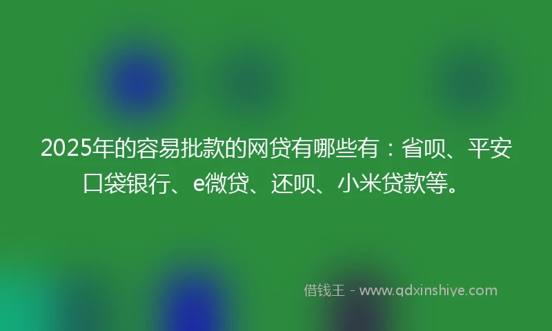 2025年的容易批款的网贷有哪些有：省呗、平安口袋银行、e微贷、还呗、小米贷款等。