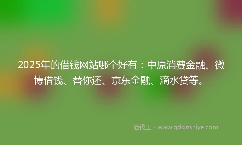 2025年的借钱网站哪个好有：中原消费金融、微博借钱、替你还、京东金融、滴水贷等。