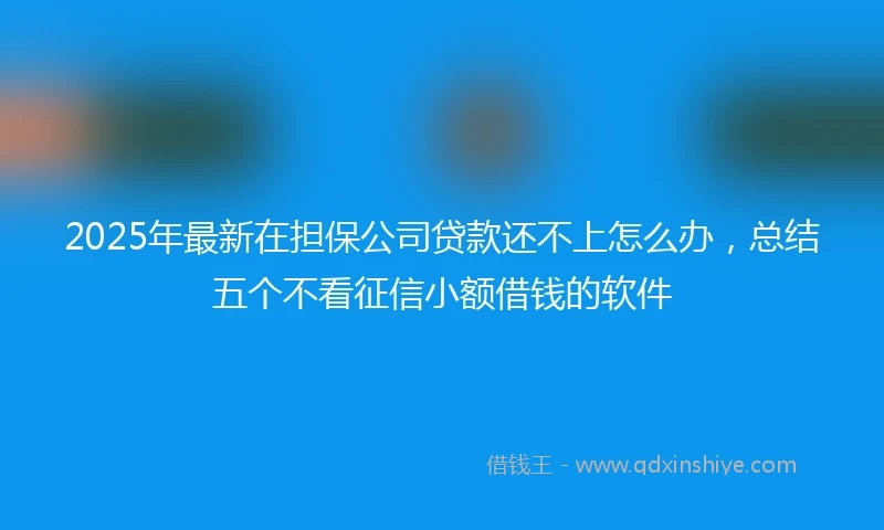 2025年最新在担保公司贷款还不上怎么办，总结五个不看征信小额借钱的软件
