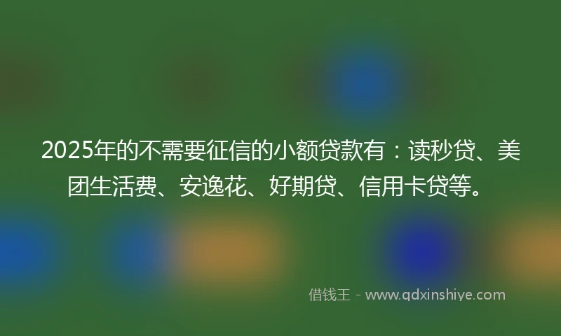 2025年的不需要征信的小额贷款有：读秒贷、美团生活费、安逸花、好期贷、信用卡贷等。