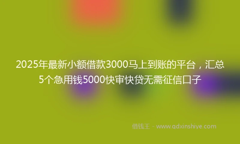 2025年最新小额借款3000马上到账的平台，汇总5个急用钱5000快审快贷无需征信口子