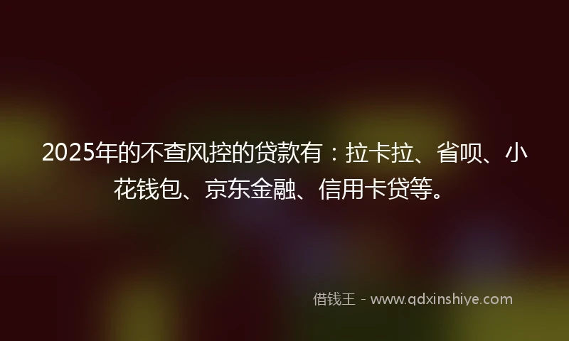2025年的不查风控的贷款有：拉卡拉、省呗、小花钱包、京东金融、信用卡贷等。