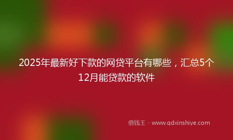 2025年最新好下款的网贷平台有哪些，汇总5个12月能贷款的软件