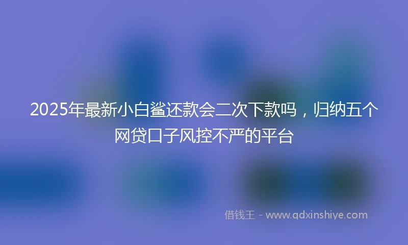 2025年最新小白鲨还款会二次下款吗，归纳五个网贷口子风控不严的平台