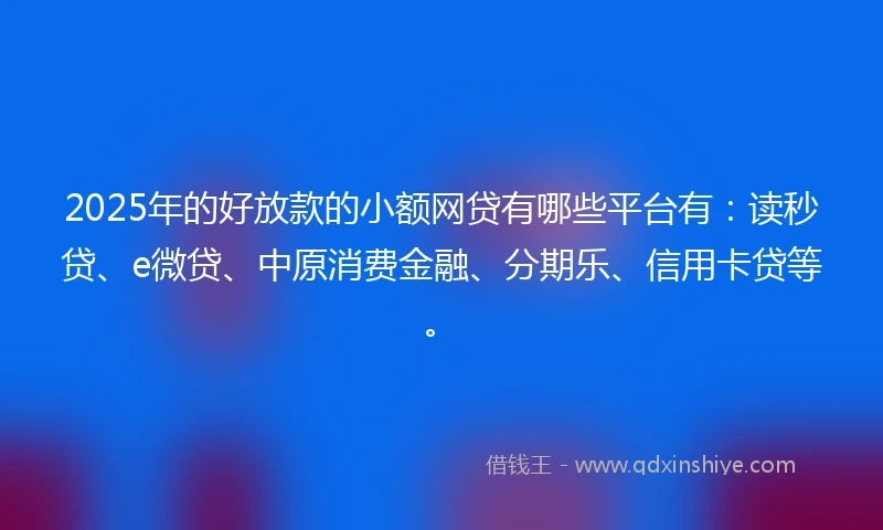 2025年的好放款的小额网贷有哪些平台有：读秒贷、e微贷、中原消费金融、分期乐、信用卡贷等。