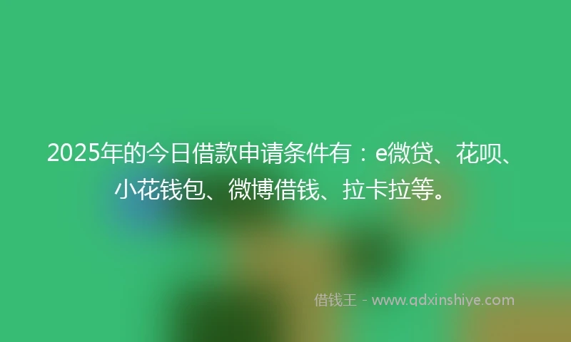 2025年的今日借款申请条件有：e微贷、花呗、小花钱包、微博借钱、拉卡拉等。