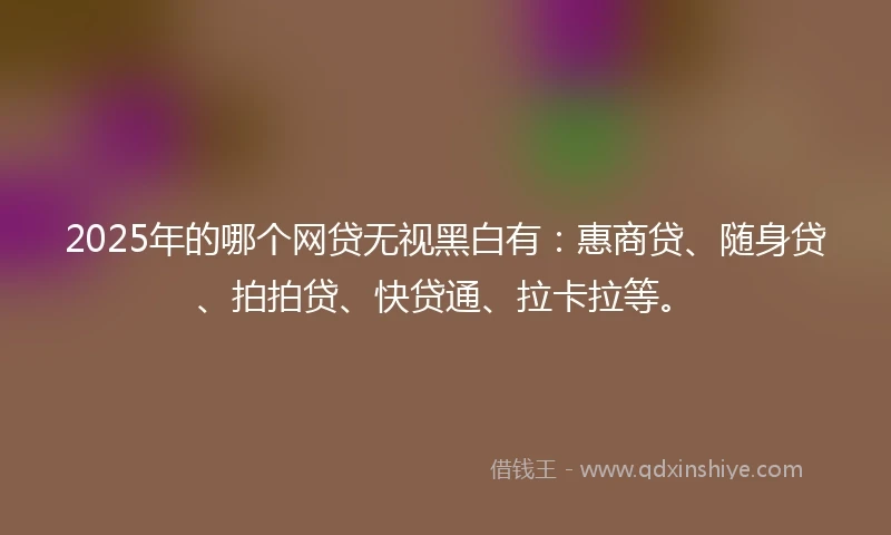2025年的哪个网贷无视黑白有：惠商贷、随身贷、拍拍贷、快贷通、拉卡拉等。