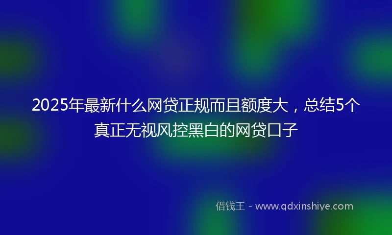 2025年最新什么网贷正规而且额度大，总结5个真正无视风控黑白的网贷口子