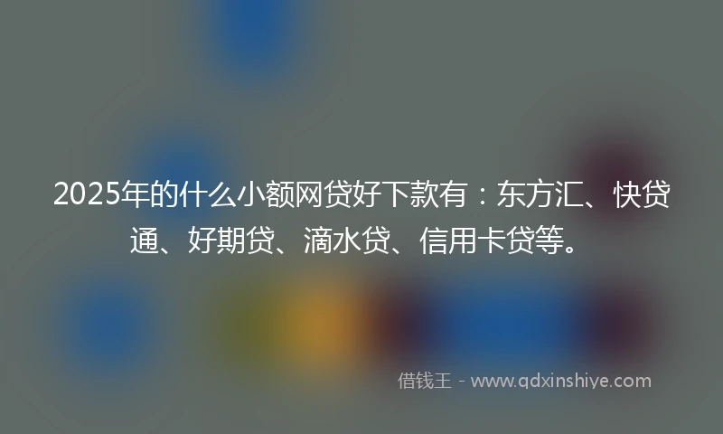 2025年的什么小额网贷好下款有：东方汇、快贷通、好期贷、滴水贷、信用卡贷等。