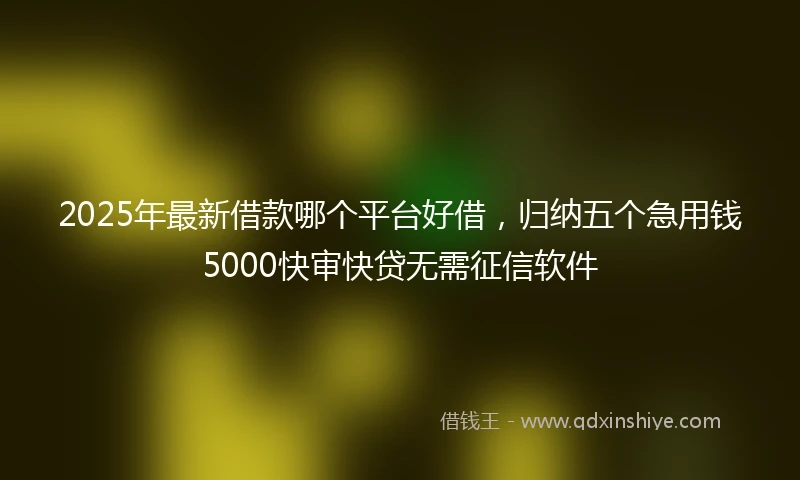 2025年最新借款哪个平台好借，归纳五个急用钱5000快审快贷无需征信软件