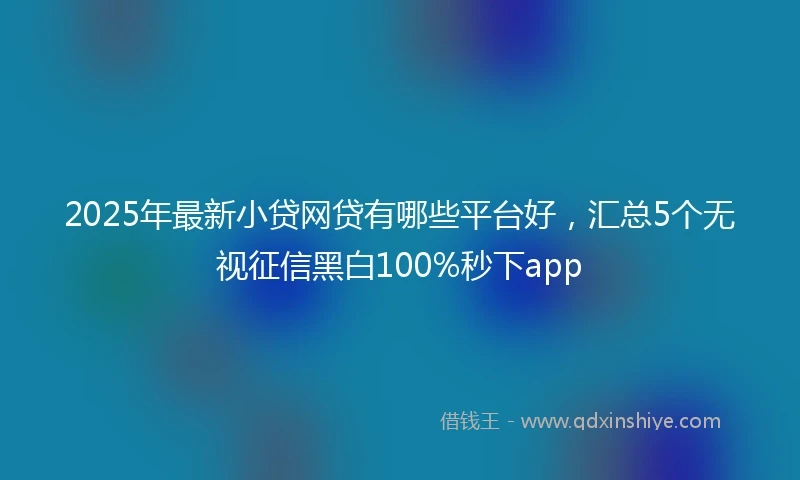 2025年最新小贷网贷有哪些平台好，汇总5个无视征信黑白100%秒下app