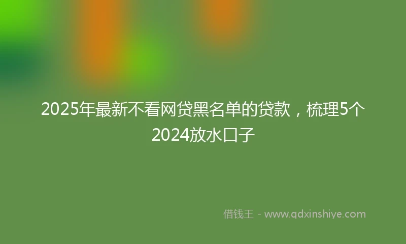 2025年最新不看网贷黑名单的贷款，梳理5个2024放水口子