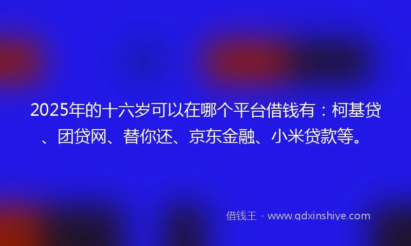 2025年的十六岁可以在哪个平台借钱有：柯基贷、团贷网、替你还、京东金融、小米贷款等。