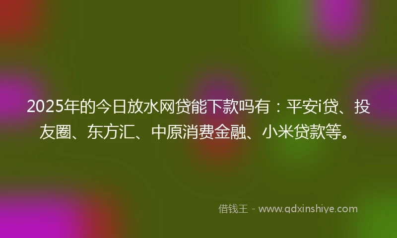 2025年的今日放水网贷能下款吗有：平安i贷、投友圈、东方汇、中原消费金融、小米贷款等。
