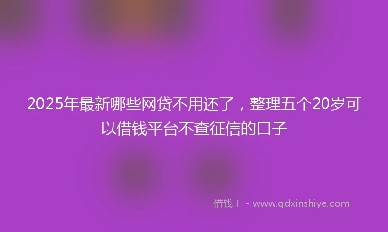 2025年最新哪些网贷不用还了，整理五个20岁可以借钱平台不查征信的口子